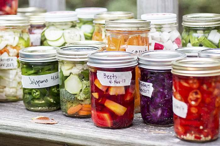 https://fermentandthrive.com/wp-content/uploads/2026/02/https-www-quickcrop-ie-product-images-uploaded-images-colourful-jars-of-fermented-foods-jpg.jpg